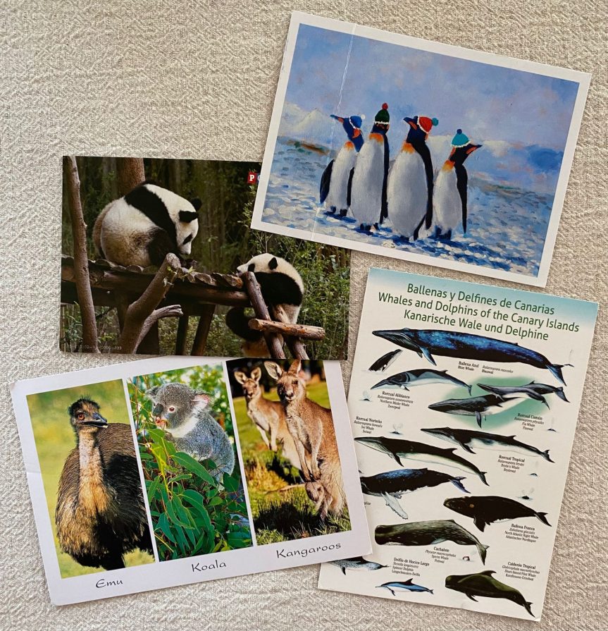 Výstava – Postcrossing